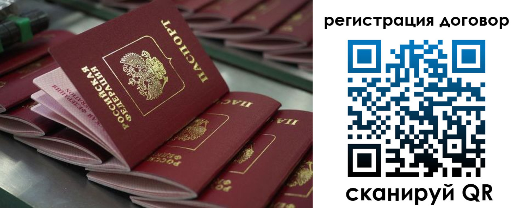 временная регистрация для школы в Жуковском